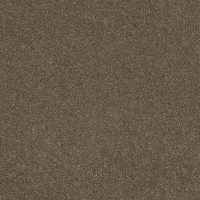 Dreamweaver STUNNING Peppercorn