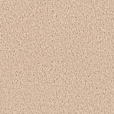 Dreamweaver EXCEPTIONAL II Eggshell