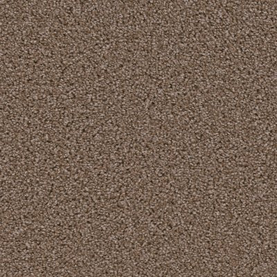 Dreamweaver BROADCAST Lava