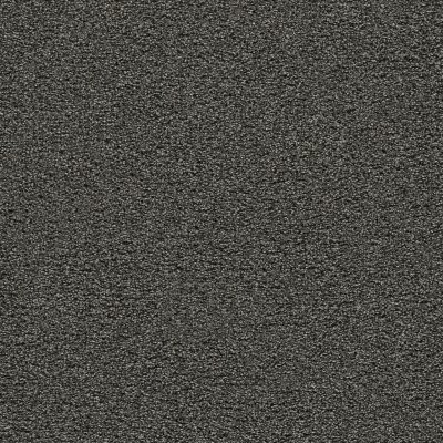 Dreamweaver GOLD STANDARD I Onyx