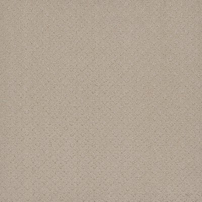 Dreamweaver CAPRI Champagne Fizz