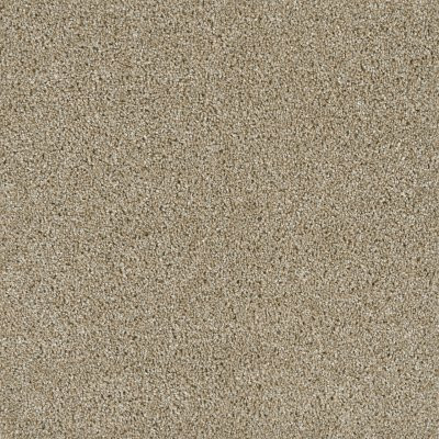 Dreamweaver ACCLAIM Outback