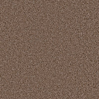 Dreamweaver BROADCAST PLUS Lava