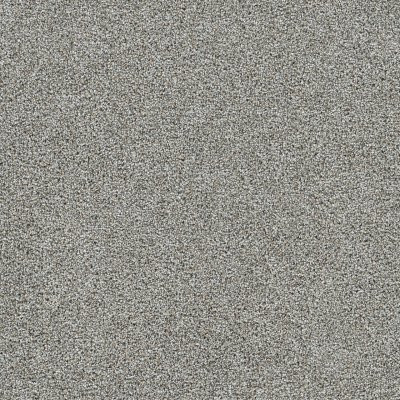 Dreamweaver GOLD STANDARD III Chrome