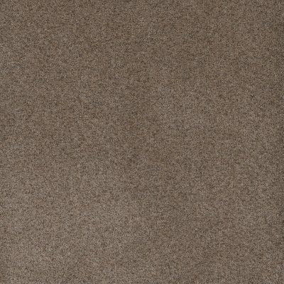 Dreamweaver SERENE II Shellbark