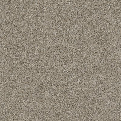 Dreamweaver ACCLAIM Vela