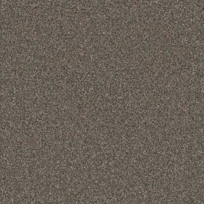 Dreamweaver MONTE CARLO II Bordeaux
