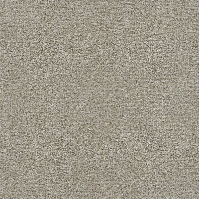 Dreamweaver GOLD STANDARD I Alloy