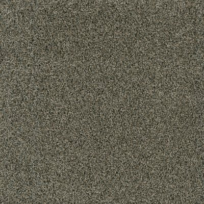 Dreamweaver ACCLAIM Midnight Shadow