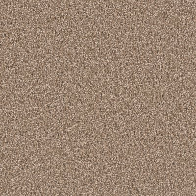 Dreamweaver EXCEPTIONAL II Dove