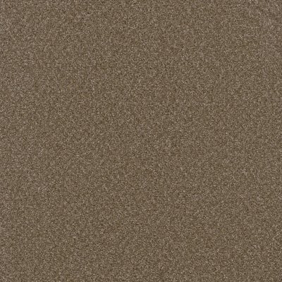 Dreamweaver BROADCAST Chestnut