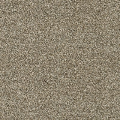Dreamweaver CLEARWATER I Toasted Oat
