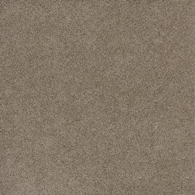 Dreamweaver STUNNING Mocha