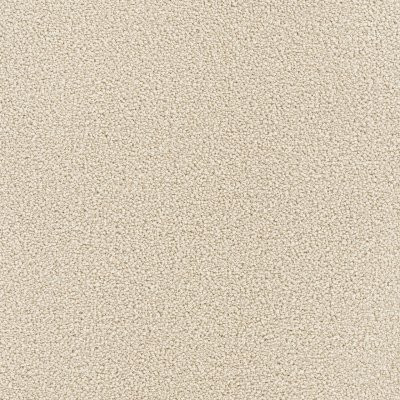 Dreamweaver BROADCAST PLUS Ivory