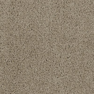 Dreamweaver TRACKER Sandstone