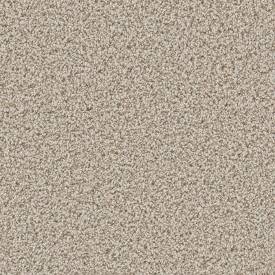 Dreamweaver CAN'T MISS Stucco