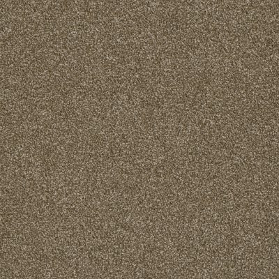 Dreamweaver LUXOR III Quail