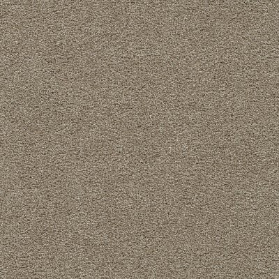 Dreamweaver CLEAR SKIES I Warm Teak