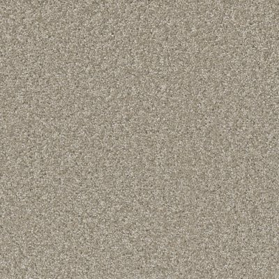 Dreamweaver BROADCAST PLUS Clam Shell