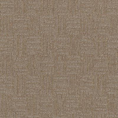 Dreamweaver CLASSIC ELEMENTS Kingsport