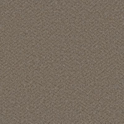 Dreamweaver BROADCAST PLUS Cinder