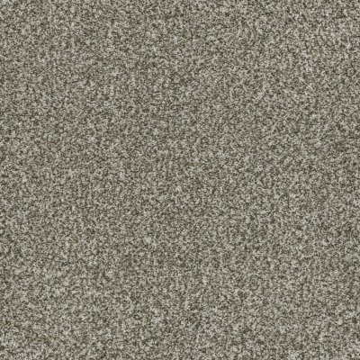 Dreamweaver BRAZEN I Clove