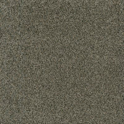 Dreamweaver YELLOWSTONE Midnight Shadow