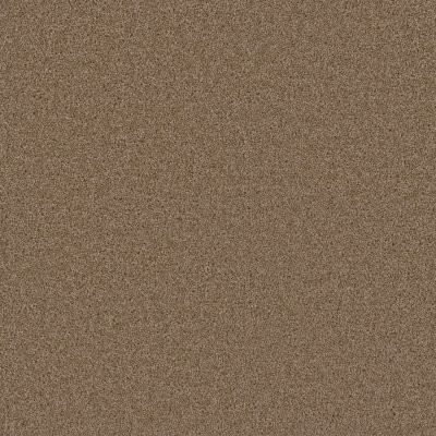 Dreamweaver BROADCAST Sandstone