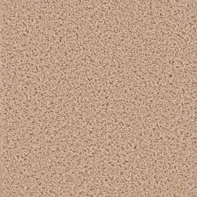 Dreamweaver BROADCAST Cookie Dough
