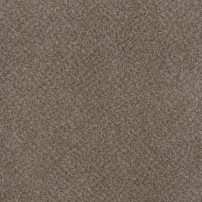 Dreamweaver TOAST OF THE TOWN English Stone