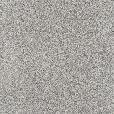 Dreamweaver MONTAUK Chrome