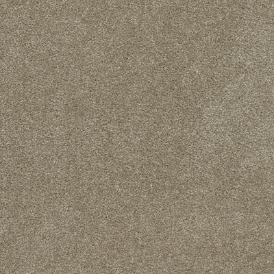 Dreamweaver ROCK SOLID III Buff