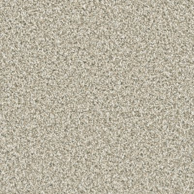 Dreamweaver DAZZLING Seashells