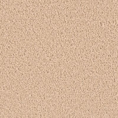 Dreamweaver EXCEPTIONAL II Cookie Dough