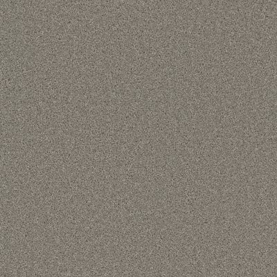 Dreamweaver BROADCAST PLUS Silver Birch