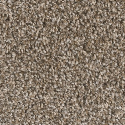 Dreamweaver WEST BROW Toasted Chestnut