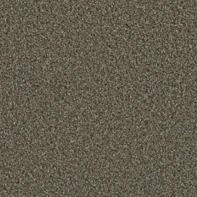Dreamweaver DAZZLING Peppercorn