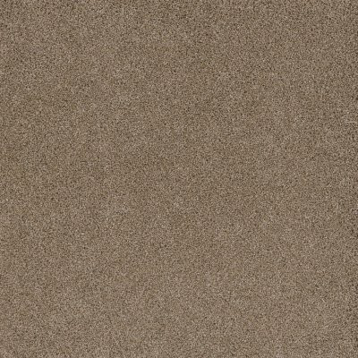 Dreamweaver STUNNING Straw