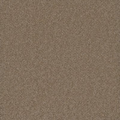 Dreamweaver COSMOPOLITAN II Straw