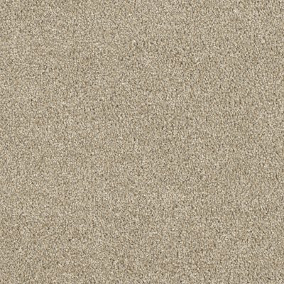 Dreamweaver HOLLYWOOD Oyster Shoal