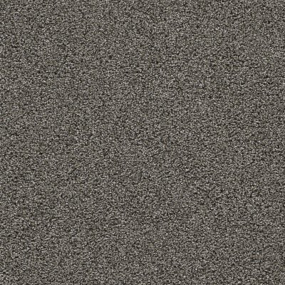 Dreamweaver GOLD STANDARD I Zinc