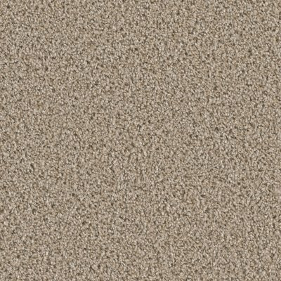 Dreamweaver COSMOPOLITAN II Mocha