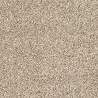 Dreamweaver HOLLYWOOD Cashmere