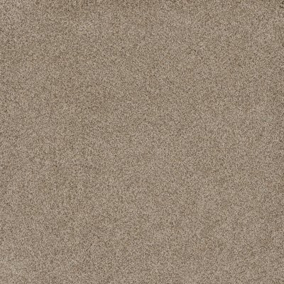Dreamweaver STUNNING Oxford
