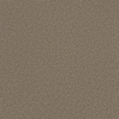 Dreamweaver BROADCAST PLUS Ash