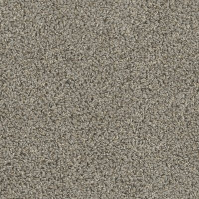 Dreamweaver TRACKER Cinder