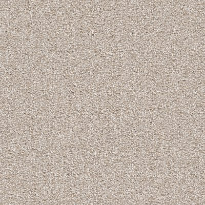 Dreamweaver CAPE COD Parchment