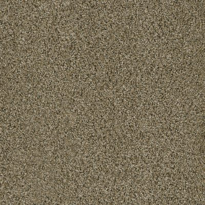 Dreamweaver YELLOWSTONE Island Spice