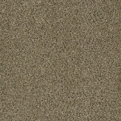 Dreamweaver ACCLAIM Island Spice