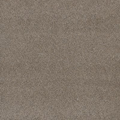 Dreamweaver STUNNING Ash